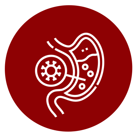 rotavirus-02